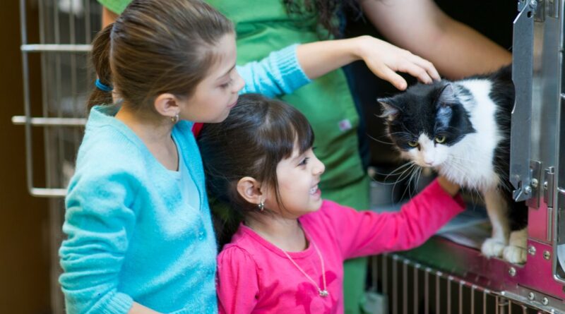 Evento de adoção de cães e gatos acontece neste sábado em supermercado de Campina Grande